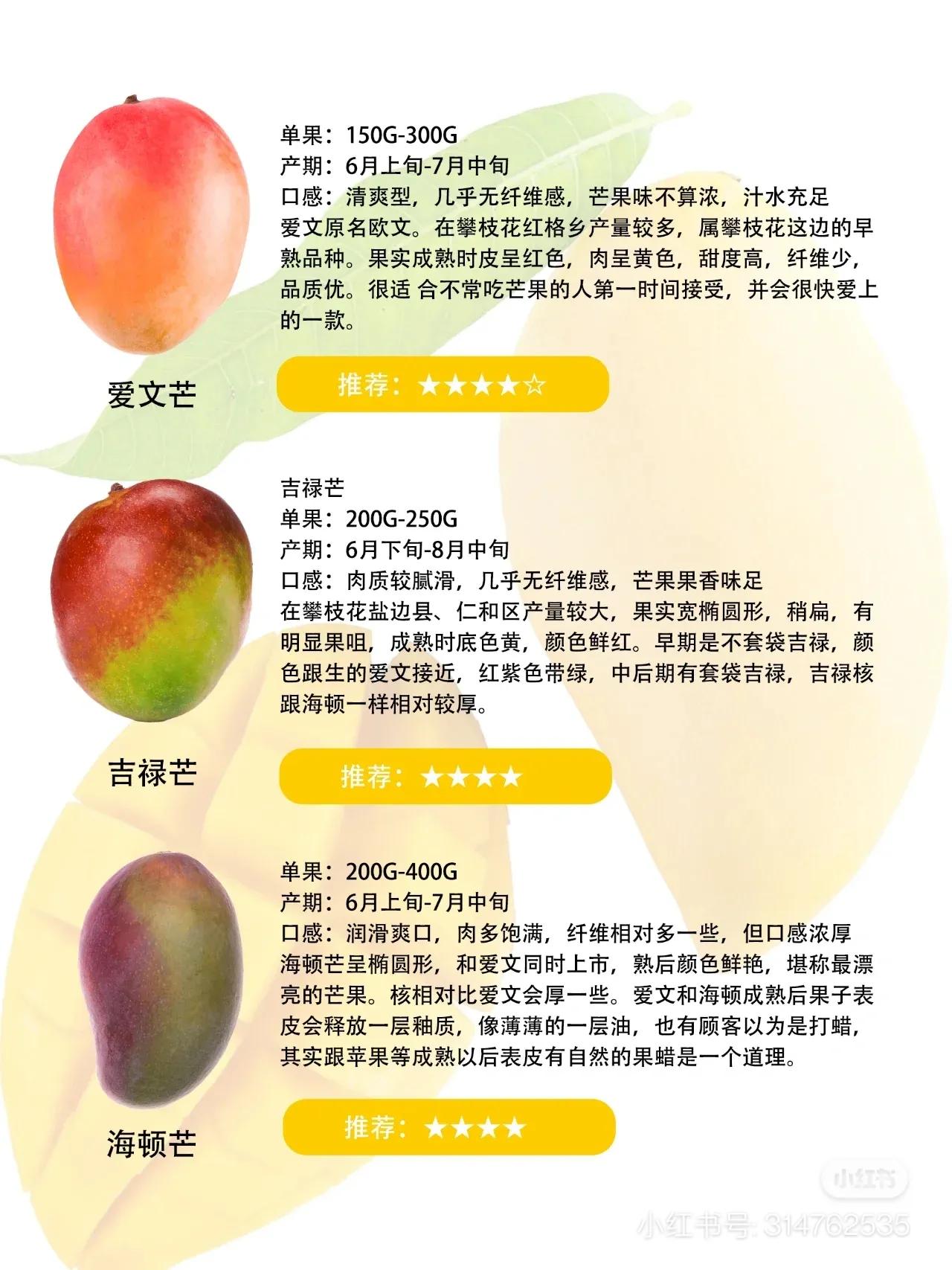 常见芒果的区别及口感,常见芒果的区别