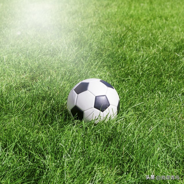 足坛十大假球事件,世界足球十大假球案