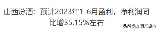 山西汾酒未来盈利分析,山西汾酒2024一季度业绩预估