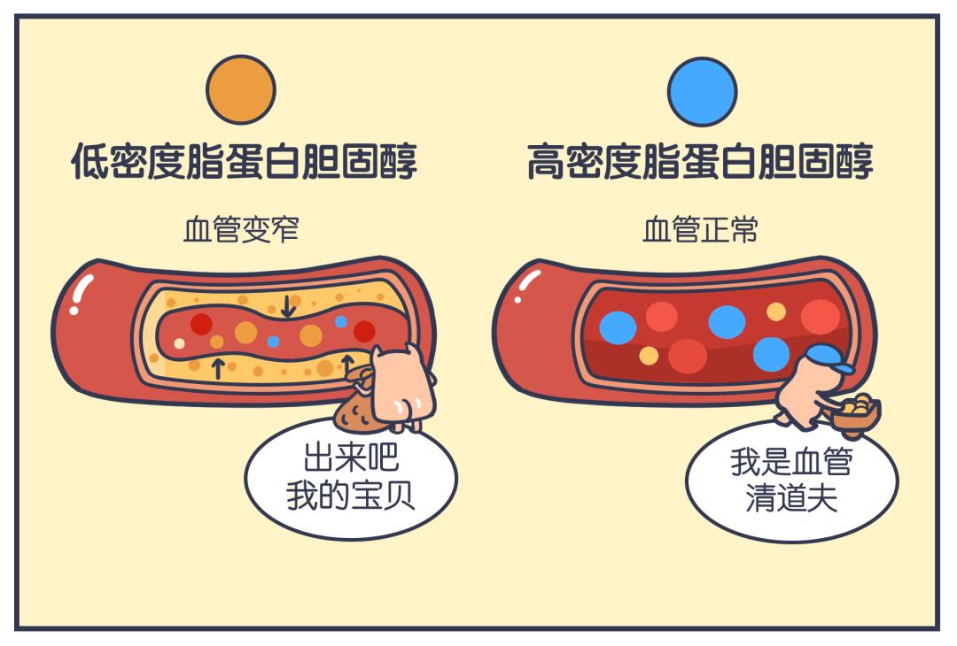 让人长胖的反式脂肪酸有哪些,食物中哪些是0式反式脂肪酸高的