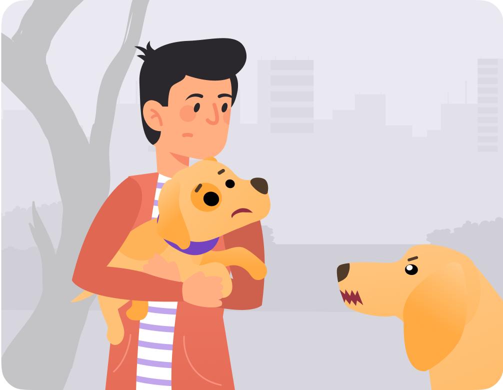 怎么阻止狗撕咬,怎么防止自己狗打架