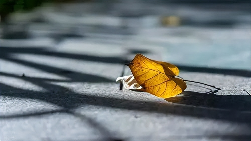 当你看透一切失去比拥有更踏实,当你看破一切后失去比拥有更踏实
