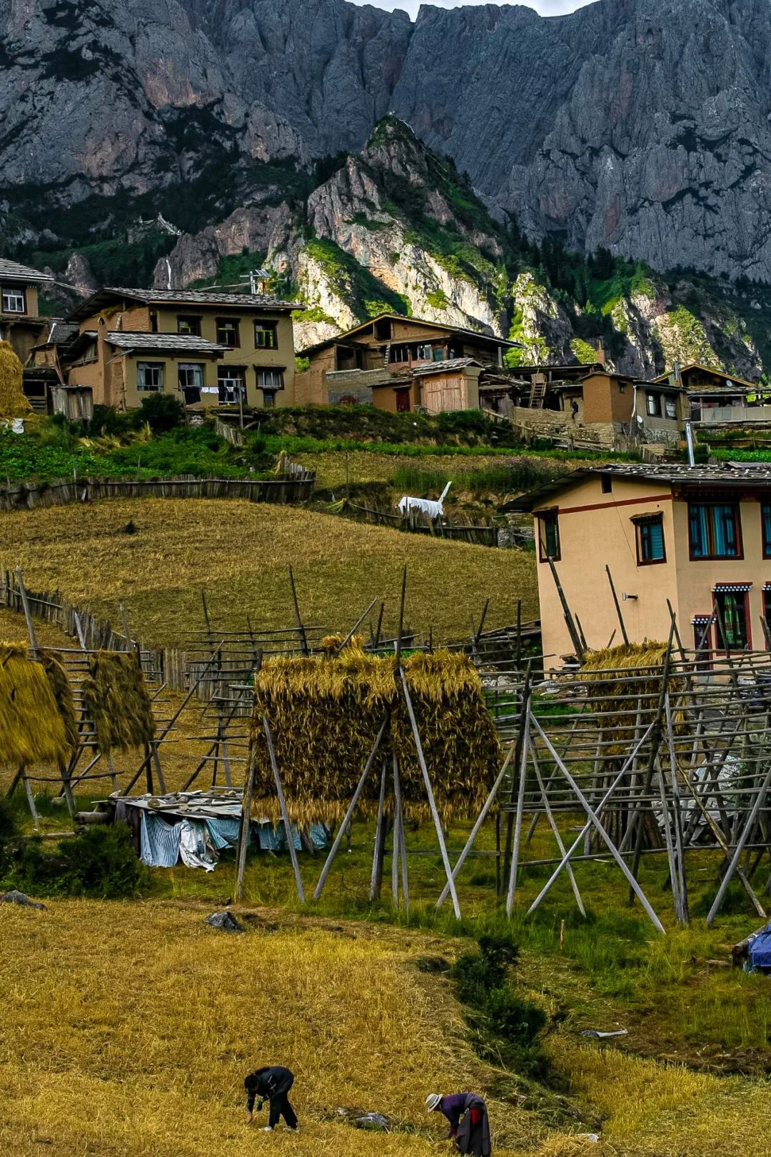 甘肃是最长的省吗,甘肃东西最长有多长