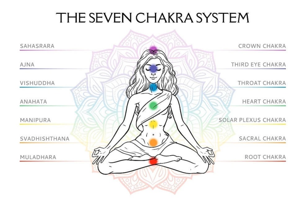 全美瑜伽联盟教学,全美瑜伽联盟查询流程