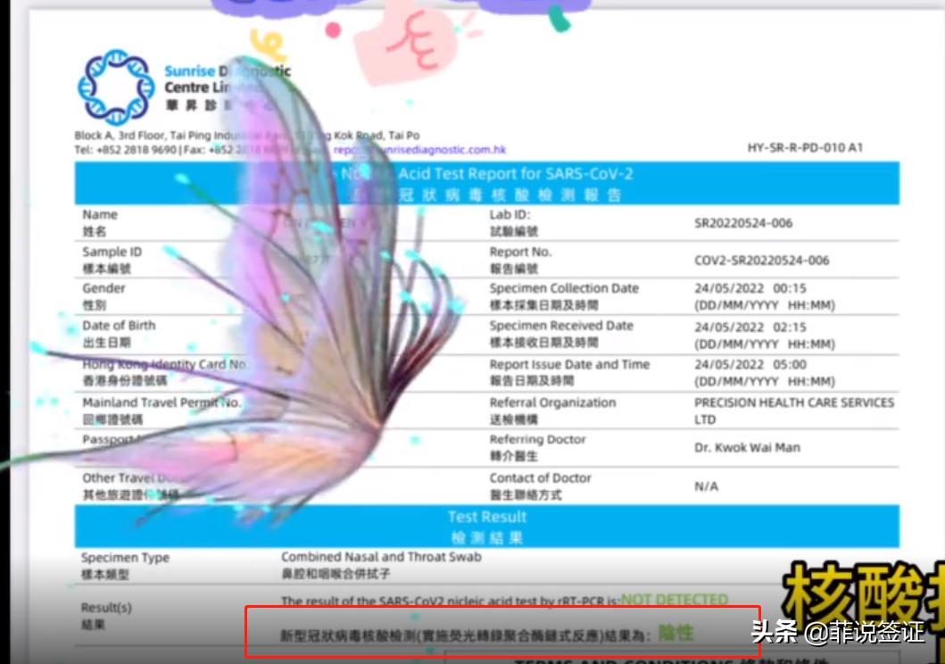 马尼拉至厦门的航班最新信息,马尼拉飞厦门全过程