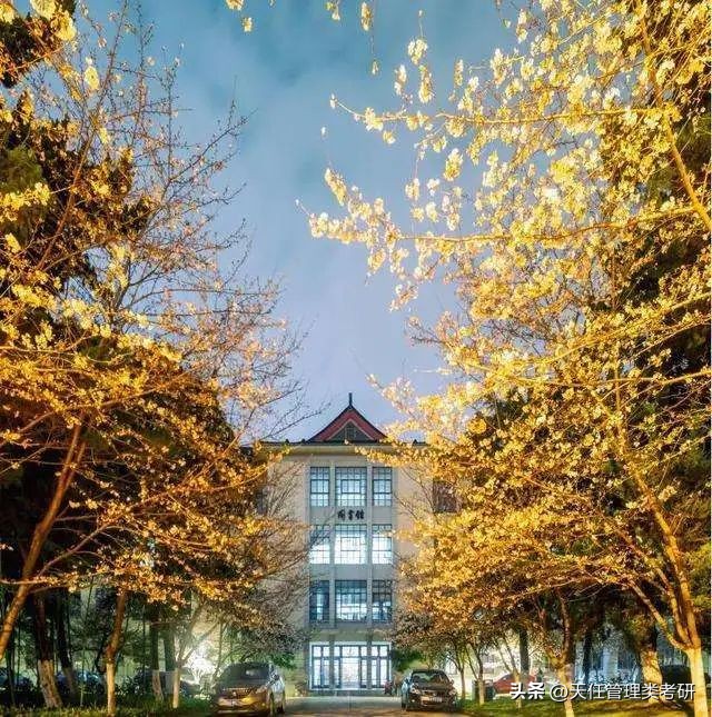 2019年会计专硕南京林业大学,南京林业大学mpacc非全调剂人数