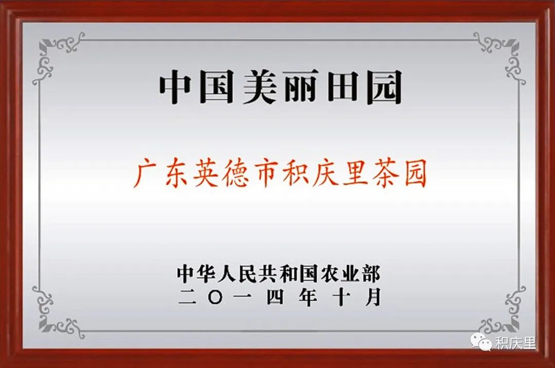 樱花烂漫，没有人会拒绝的粉色浪漫！