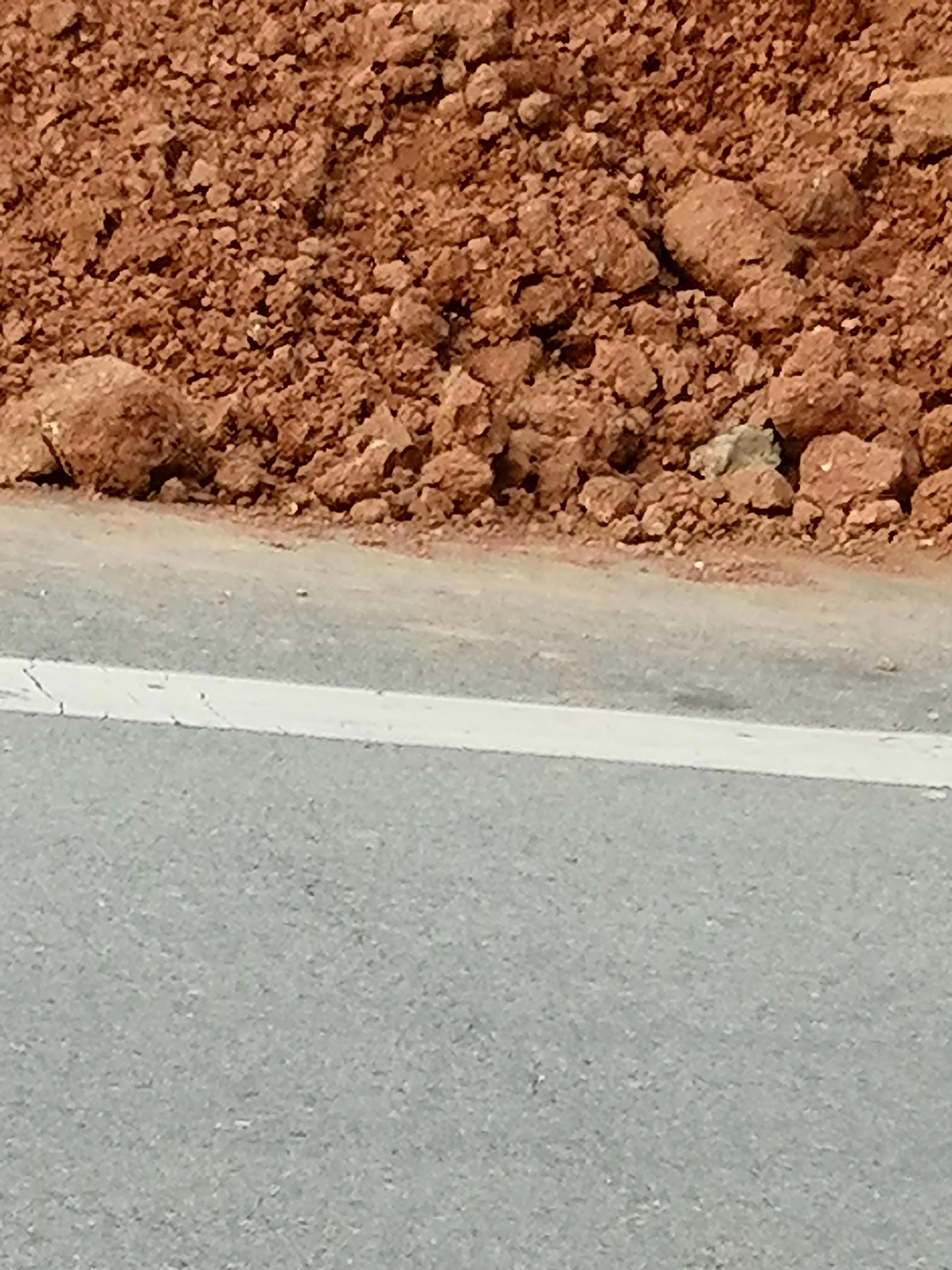 邻居故意在门口堵路,有人堵路属什么行为