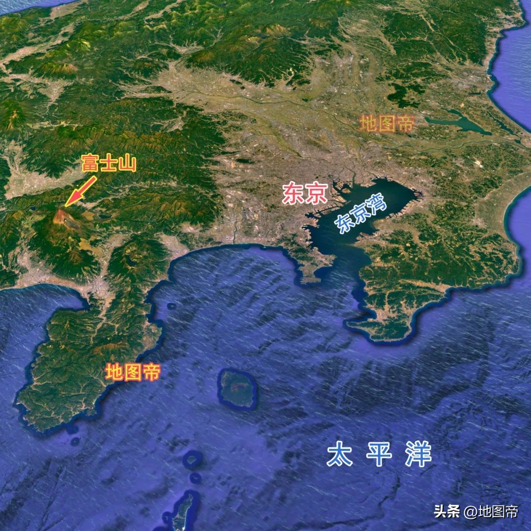 东风压倒西风还是西风出线,东风压倒西风视频