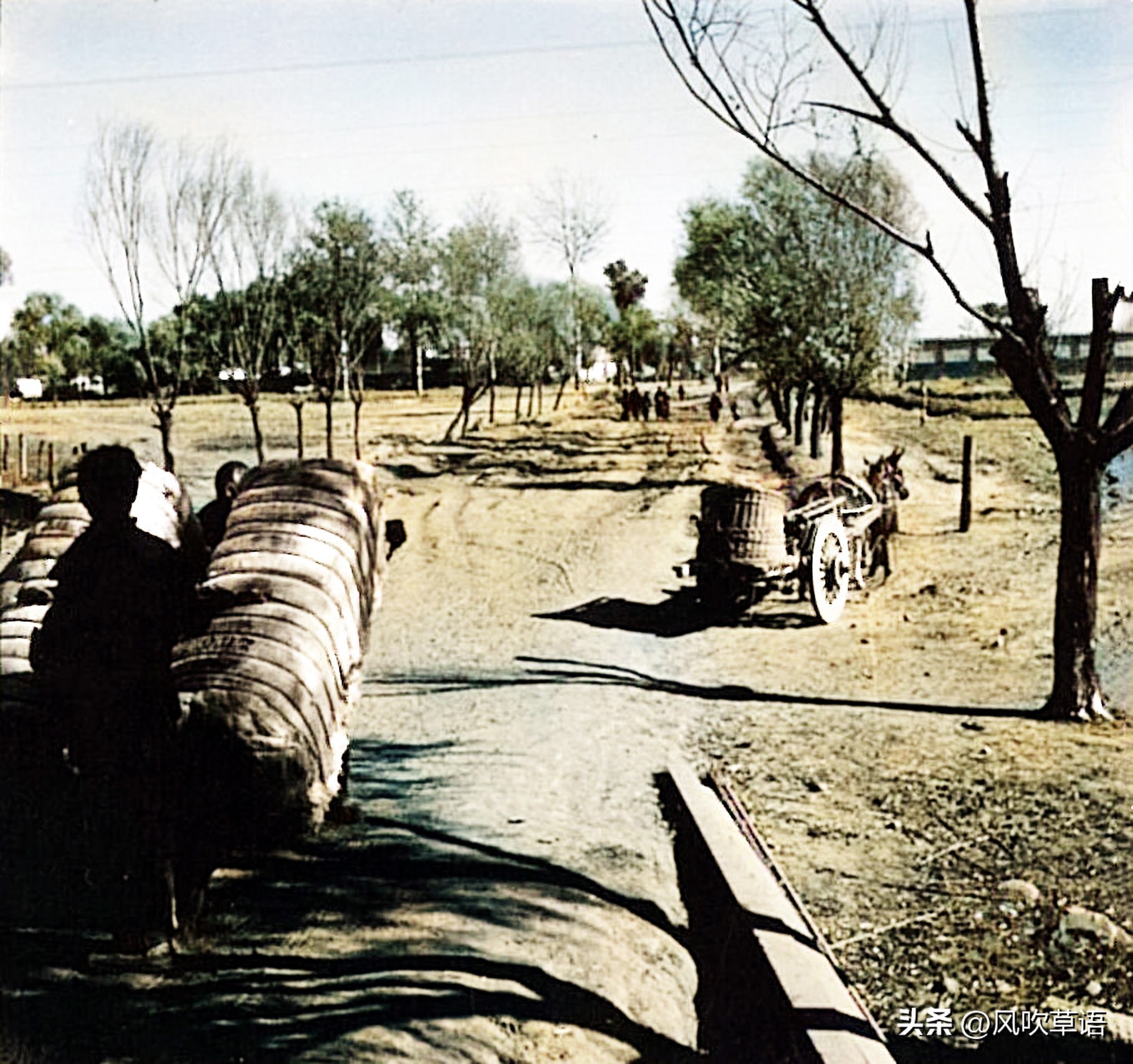 日寇镜头下的中国女子,日军镜头下的中国女战士