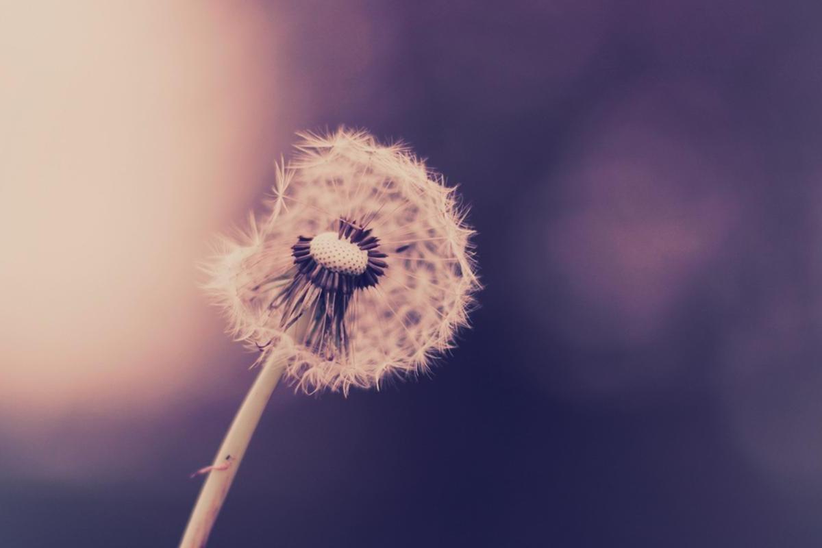 男人不联系你却还背后默默关心你,当一个男人默默关注你但不联系你