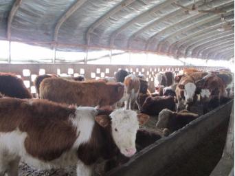 送货上门创业注意事项,送货上门是什么意思