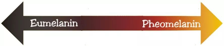 肤色黑不用护肤品怎么变白,肤色不均做什么美容项目