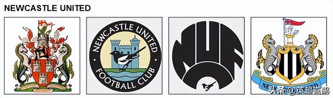 纽卡斯尔球队历史,纽卡斯尔足球俱乐部介绍