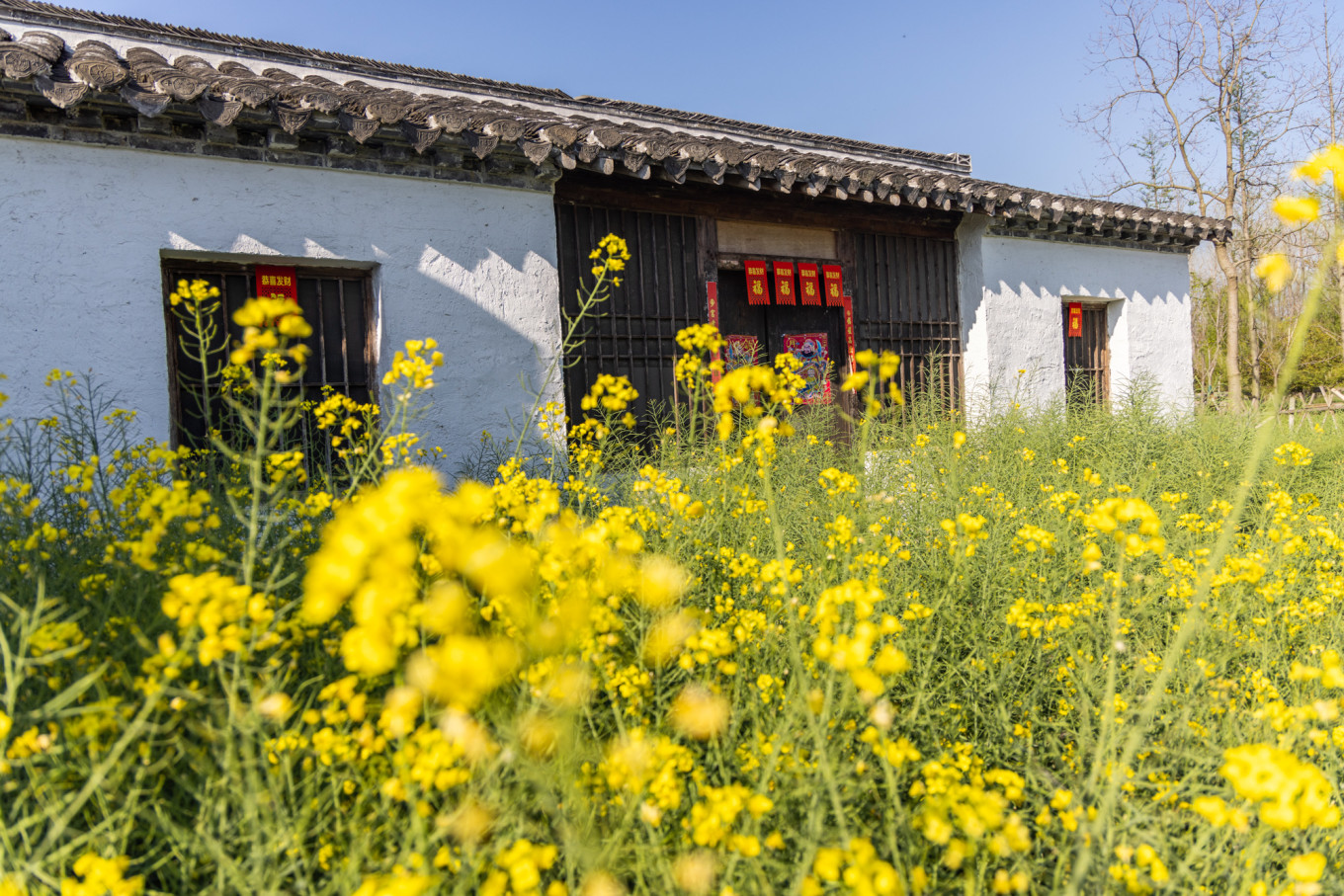 春日下江南杭州,泰州一日游攻略美食