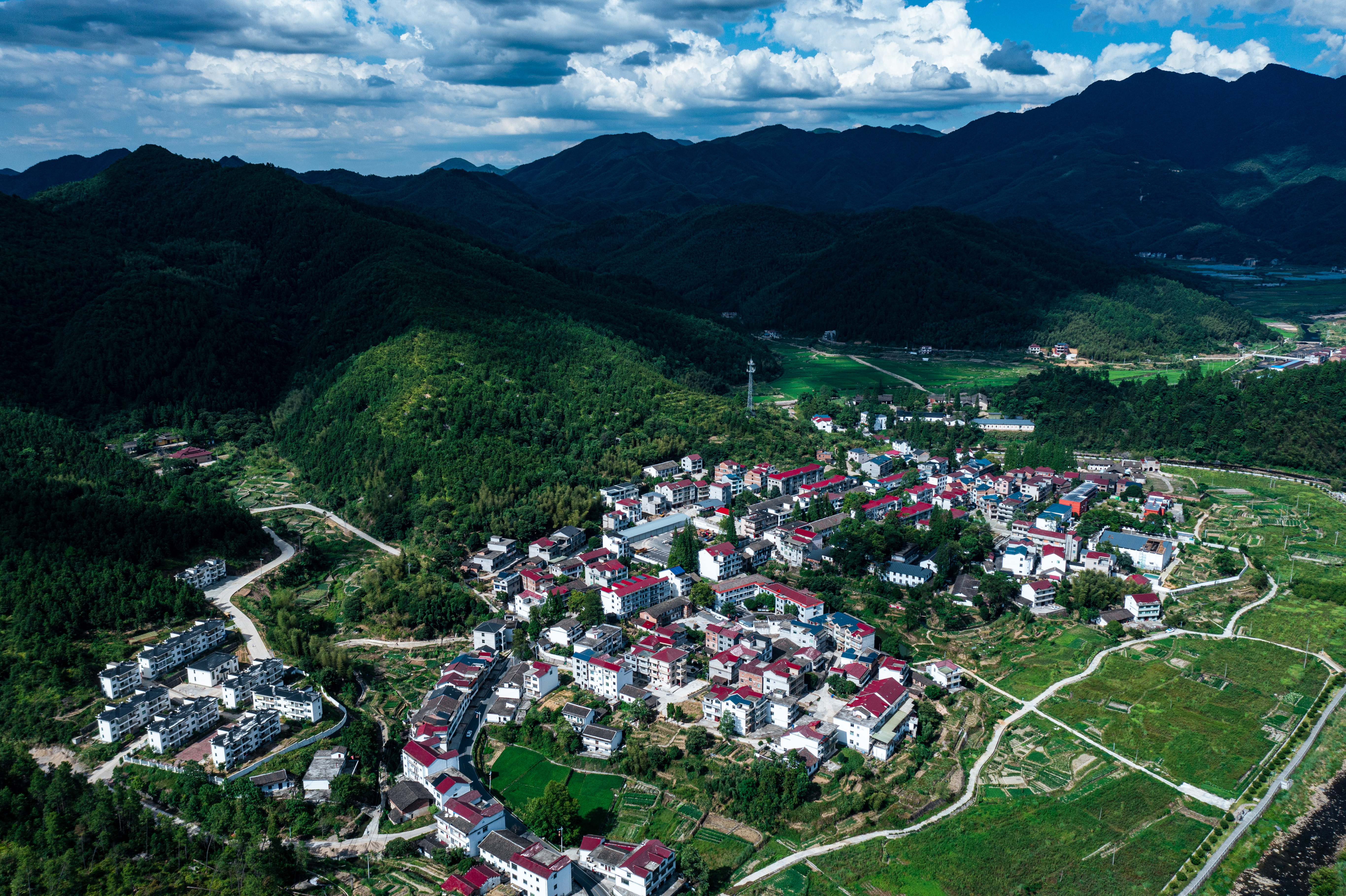 行游五府山：解密3宝，山野美味游走舌尖，传递平实的幸福