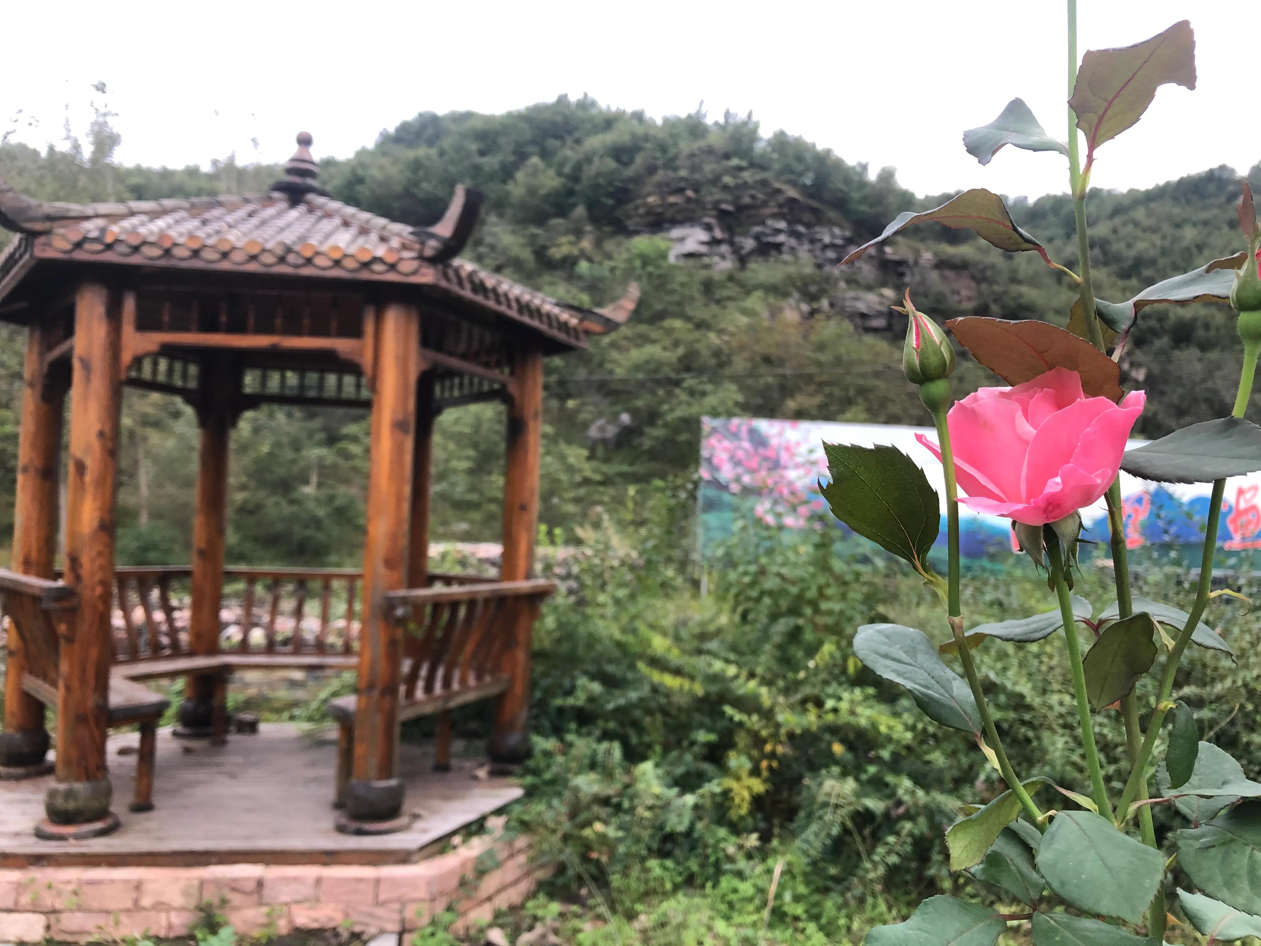 有了纯电车ID.6，不用等摇号，出行开车不是梦