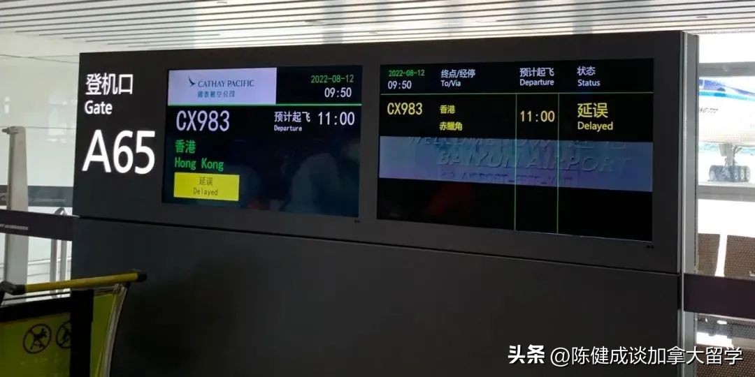 入境加拿大航班,八月入境加拿大