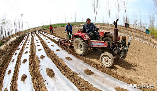 2022农历闰月,2022年闰月是几月份