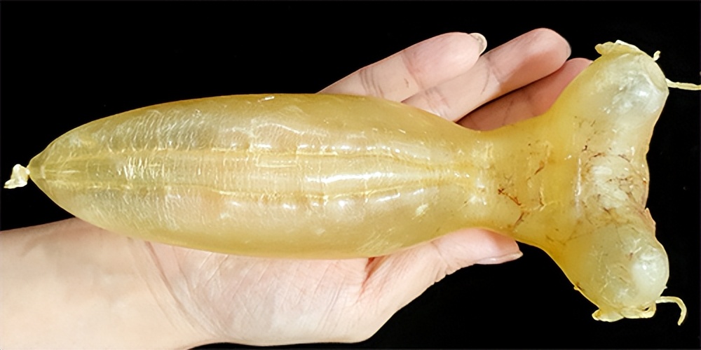 鱼胶适合啥时候做,什么品种的鱼胶适合平时吃