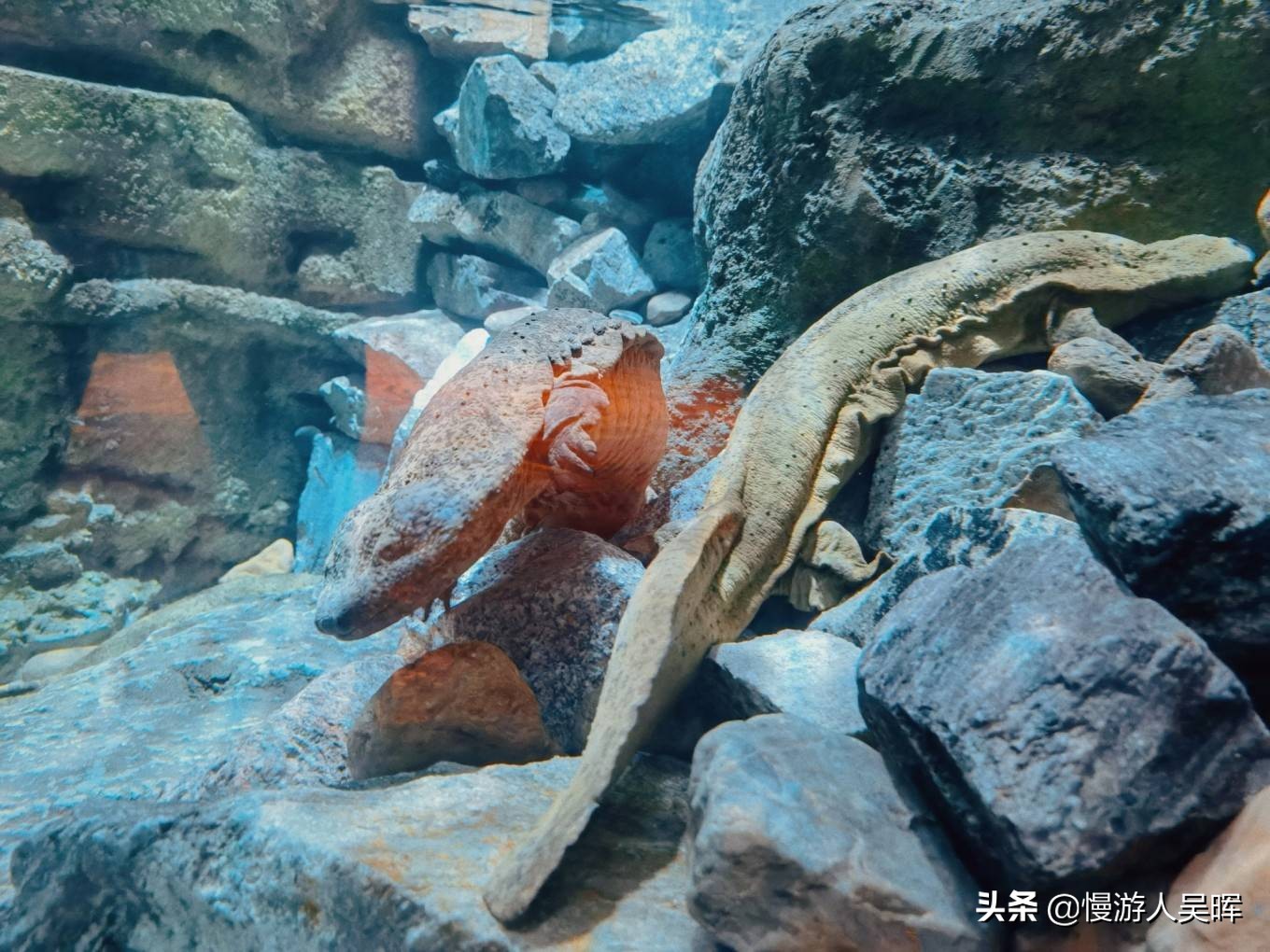 海南环岛游攻略详细行程,海南东线环岛游攻略自由行