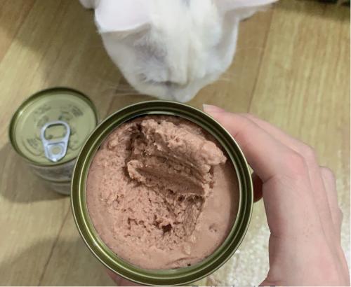 猫咪不爱喝水吃哪种猫罐头,猫咪为什么不吃刚买的猫罐头