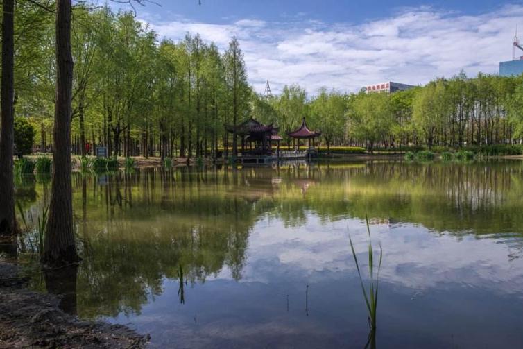 南宁上林周边避暑自驾游,南宁上林县周边游玩攻略