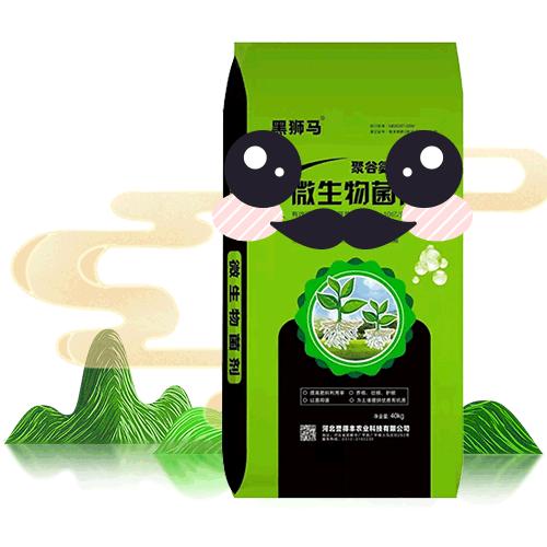 强服务促发展的方法,强服务提品质塑品牌