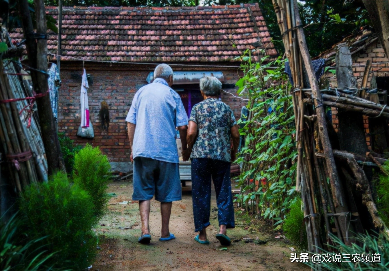 农保62岁死后能领多少钱,新农保20多岁交得交多少年