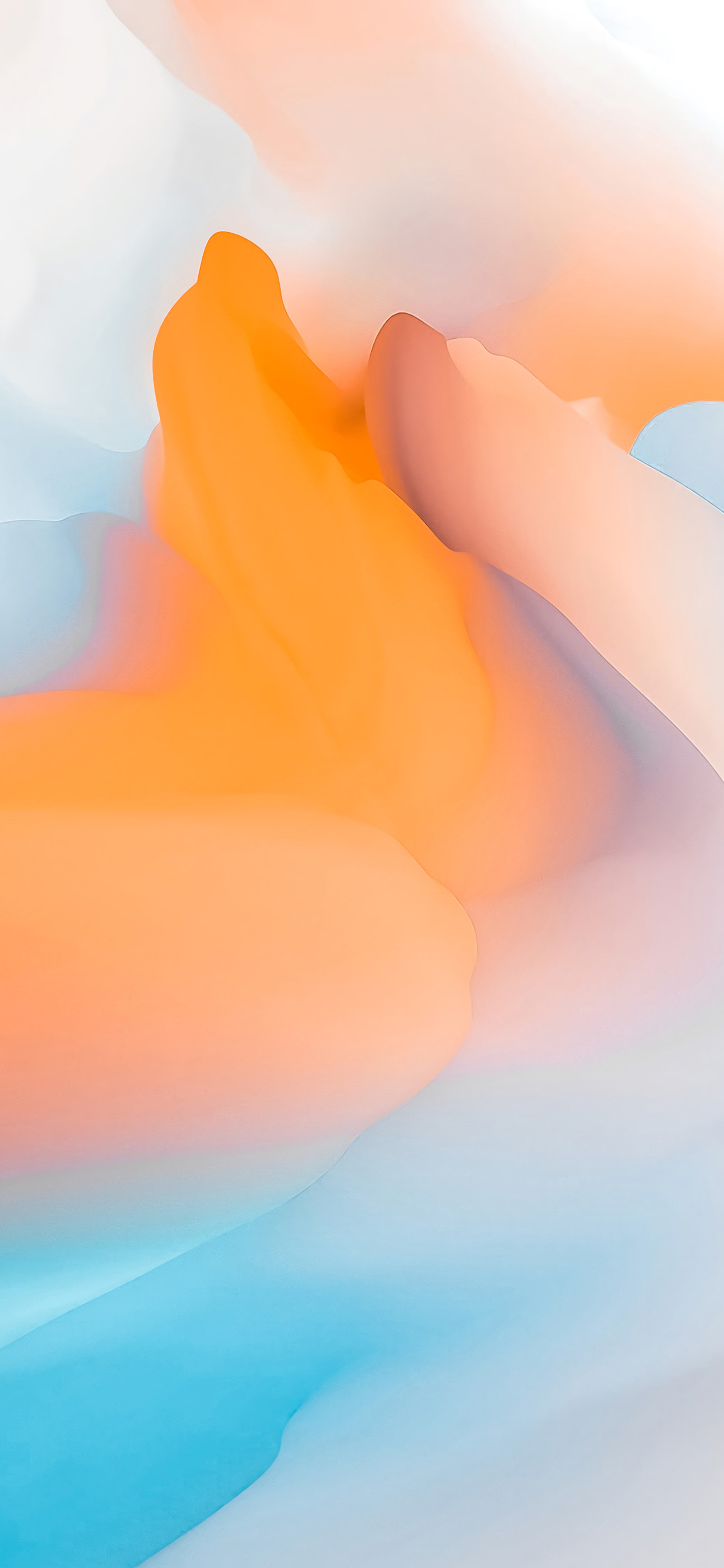 蝴蝶结亮晶晶壁纸,亮晶晶的壁纸