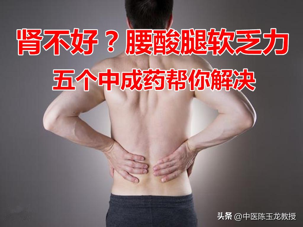 肾虚脚冷腰酸尿频,尿频腰酸是肾阳虚表现吗