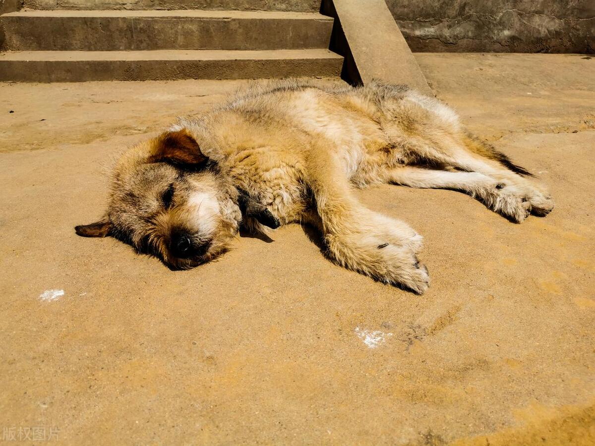 敏感的人为什么是弱者,过度敏感就是弱者的表现