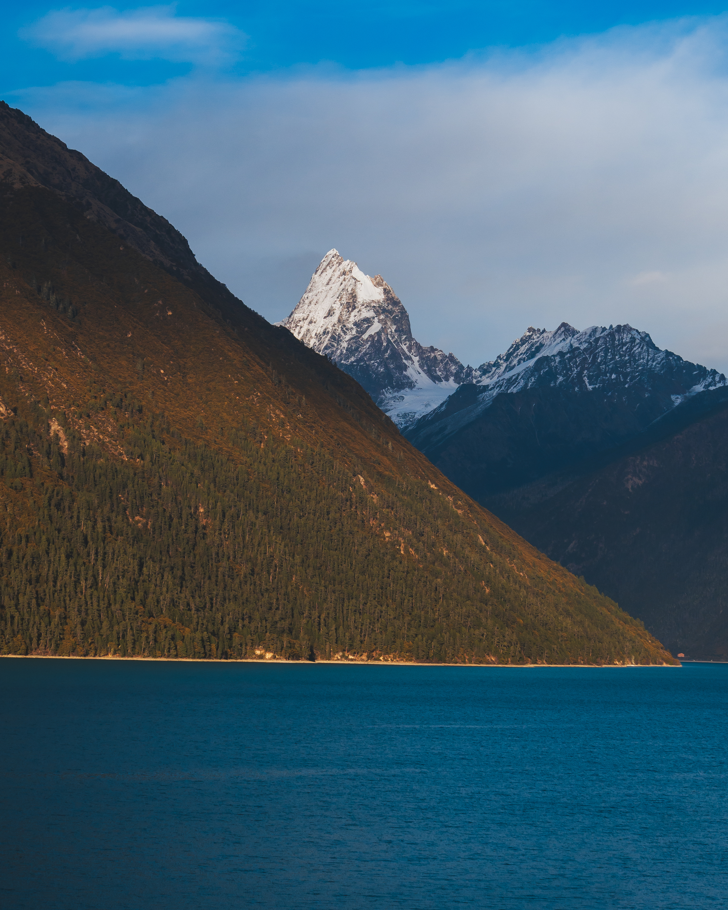 2022年M43还值得选择吗？M43双雄OM1和GH6的抉择