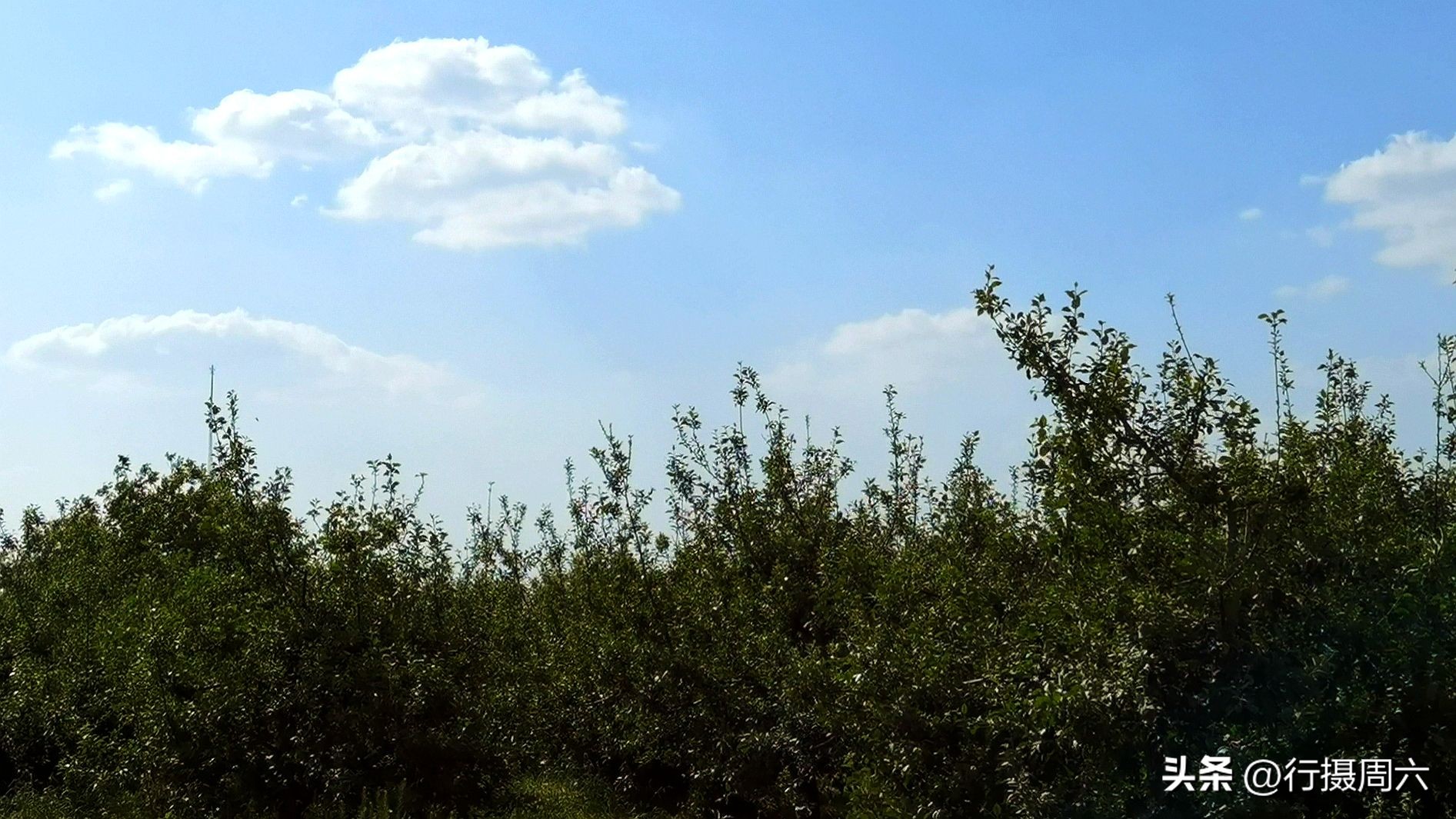 农民大爷干“锯业”20年找到致富路，家庭小厂年销售200万元