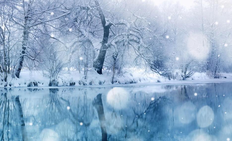 关于初雪的诗句古诗名句,写初雪的诗句古诗大全