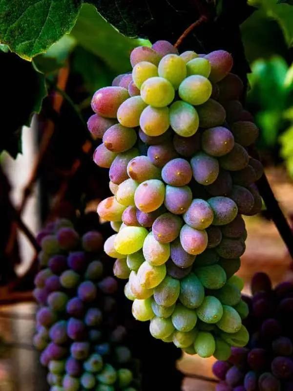 买基金是不是买久就不会亏,买基金凭感觉买最后都怎么样了