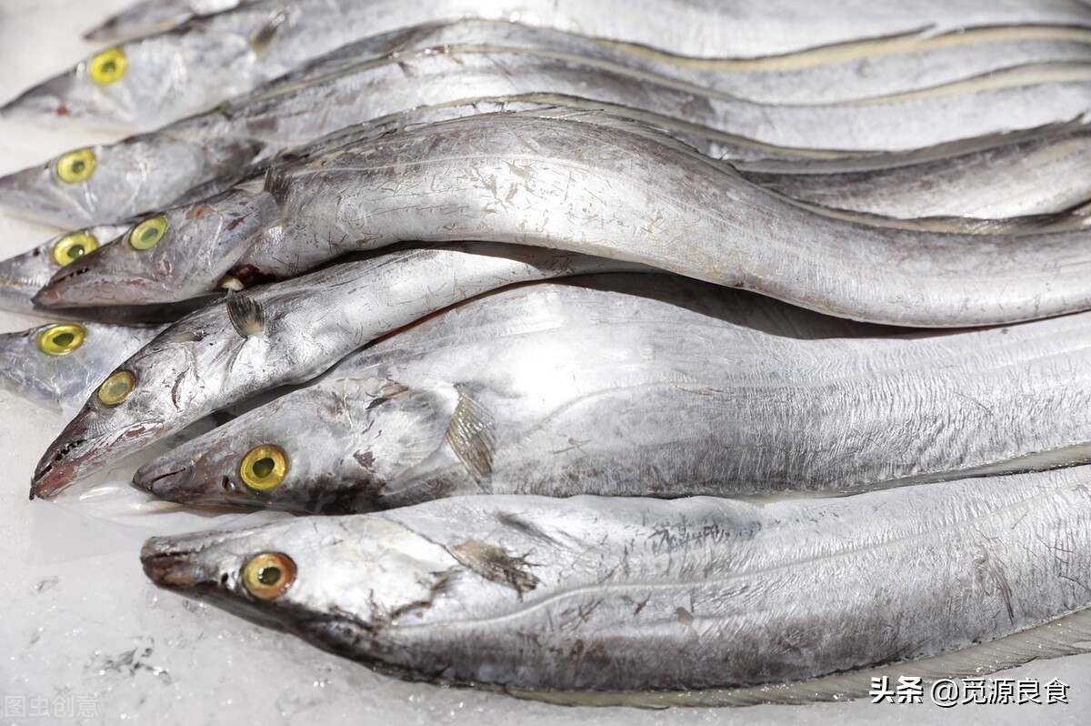 鲜带鱼和冻带鱼的区别和价格,带鱼多少钱一斤今天的价格