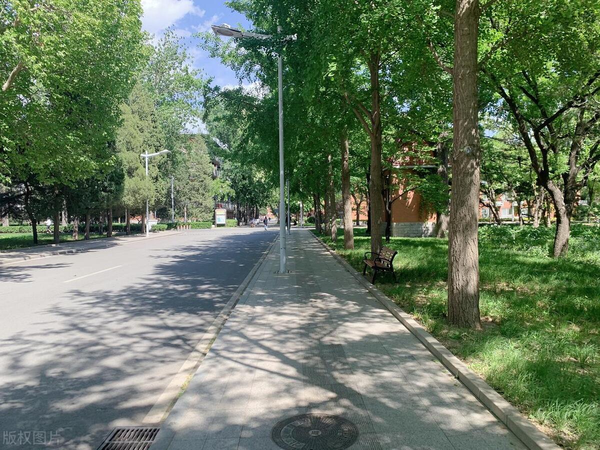 2023北京体育大学专业排名，11个专业评为A++，10个专业评为A+