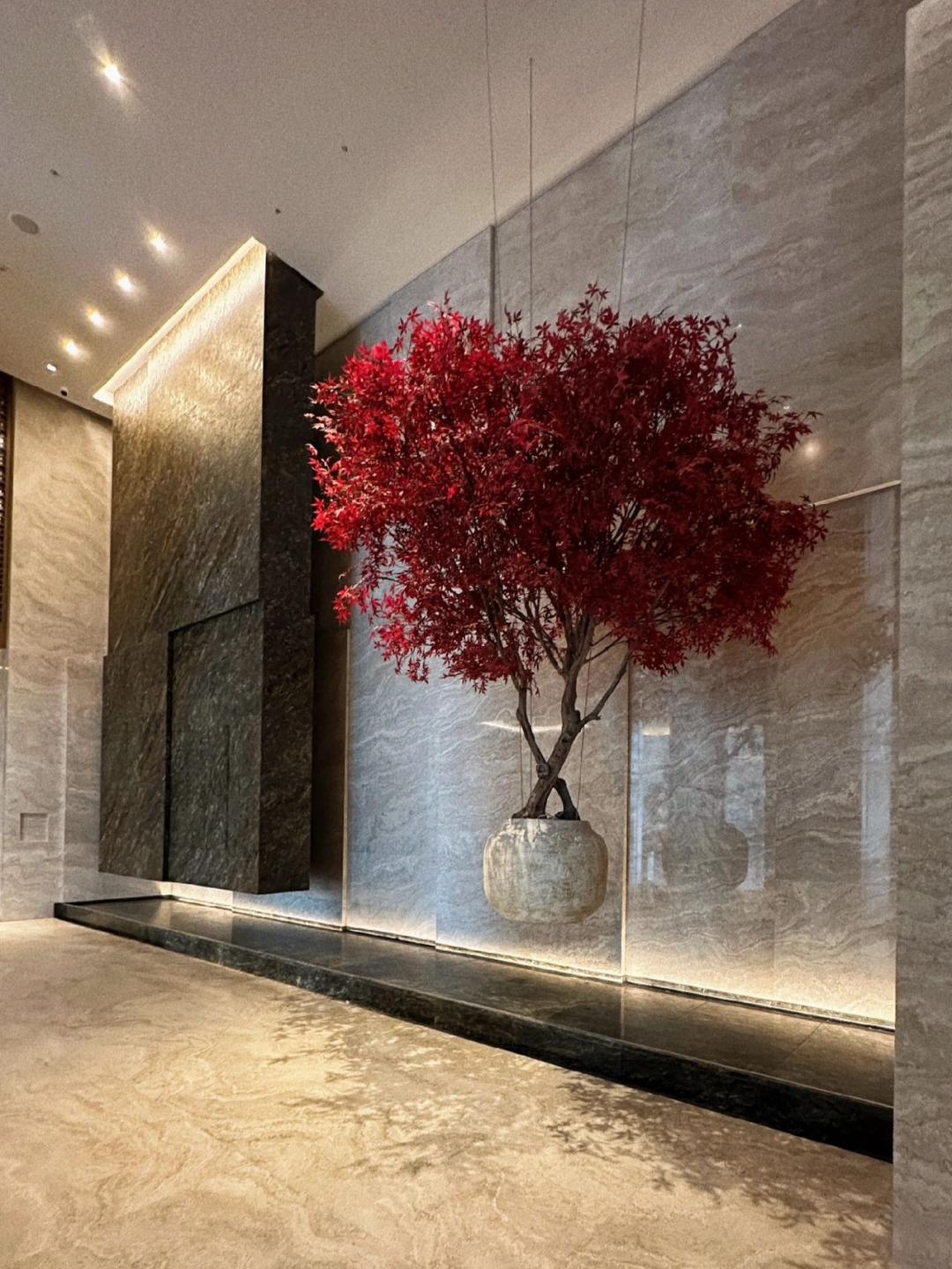 深圳康莱德酒店房间设计,深圳康莱德酒店实景照片