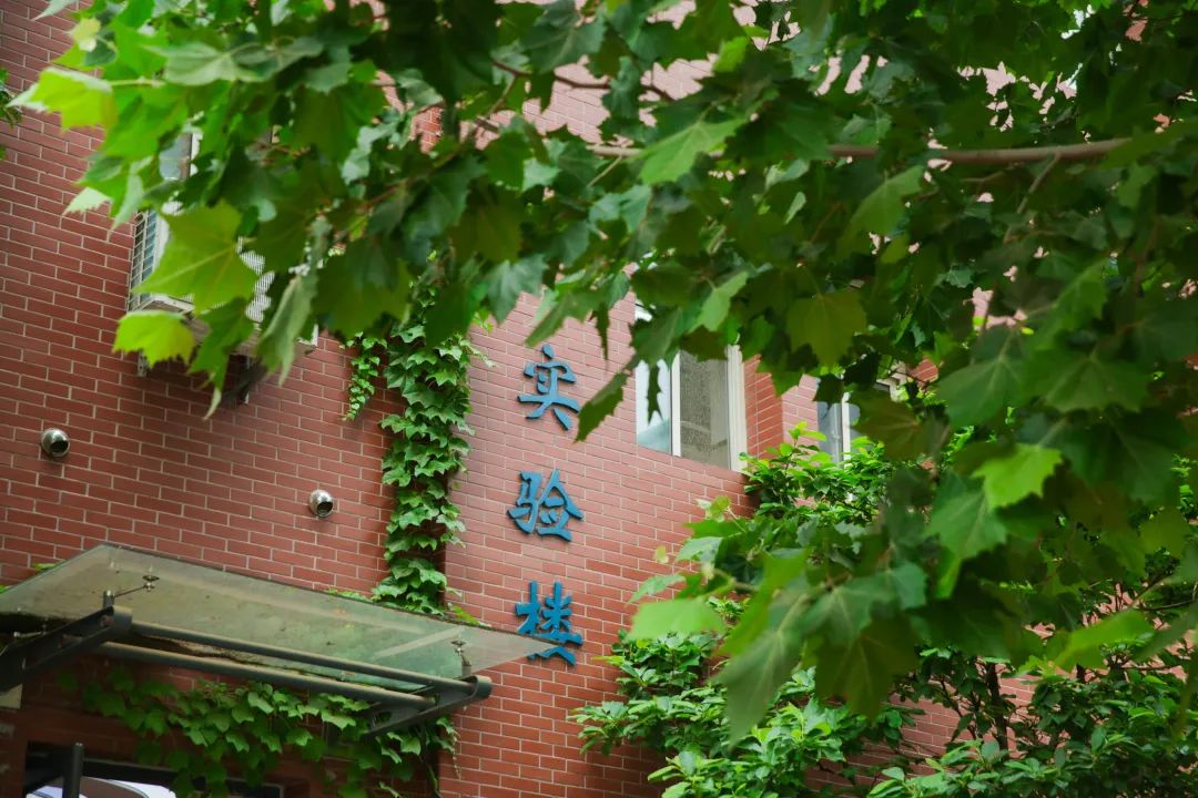 学校开展青少年科技创新活动情况,青少年科技思维创新大赛