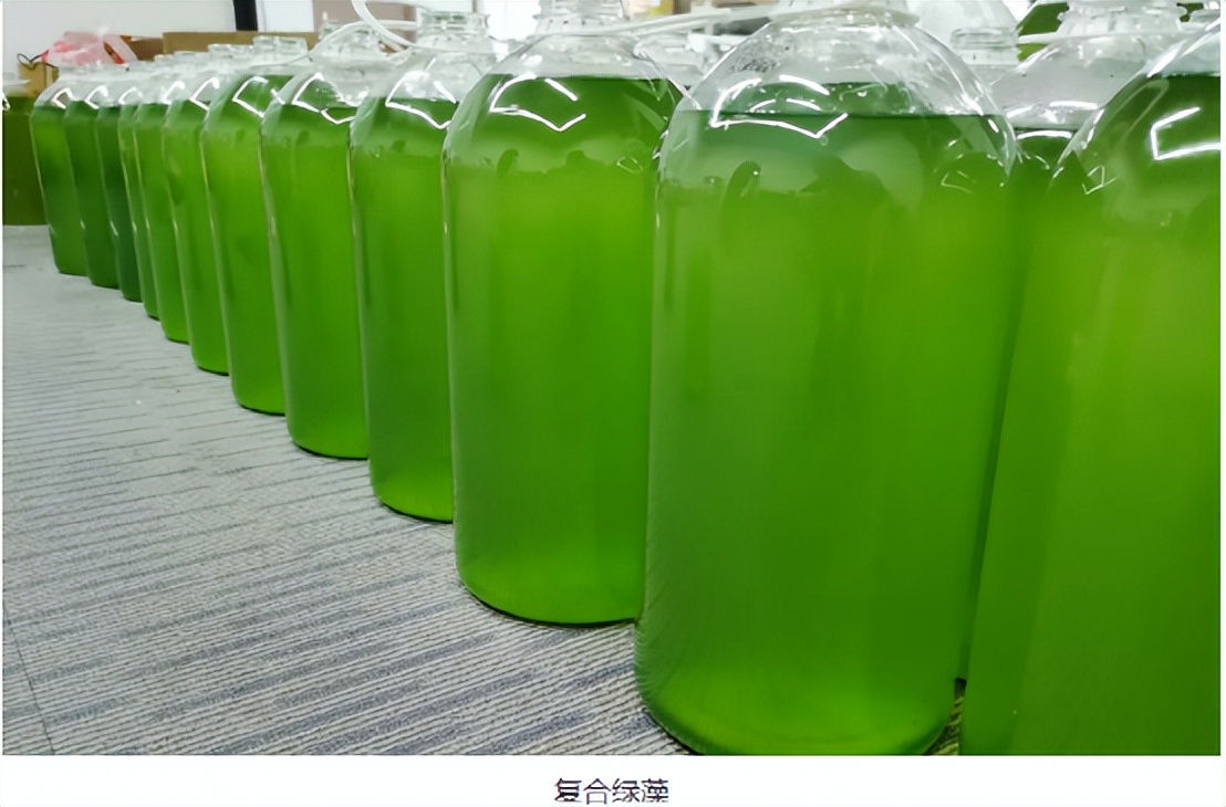 提高水体溶氧量的方法,水体溶氧的正确使用方法