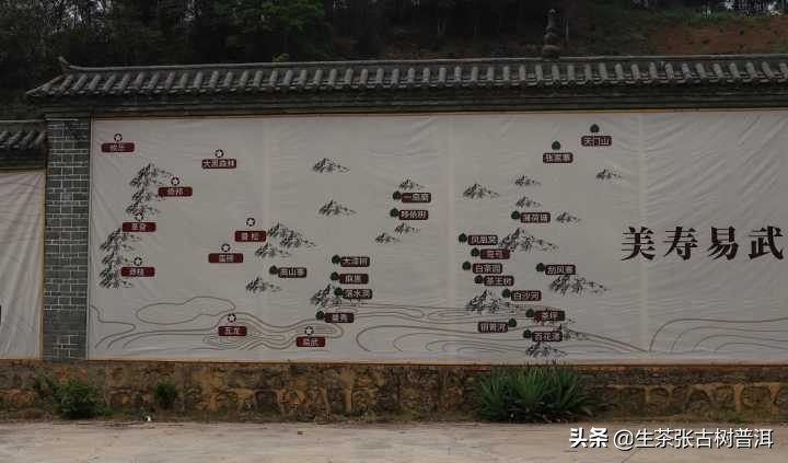 普洱茶好茶和普通普洱茶怎么区分,如何区分熟普洱和生普洱茶的区别