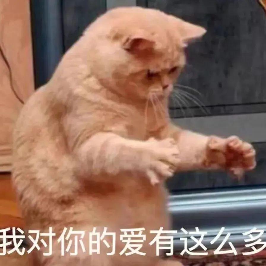 怎么说分红股息率,基金的利润分红和股息分红