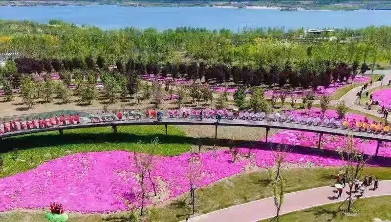 淄博春天赏花,淄博赏花时间表