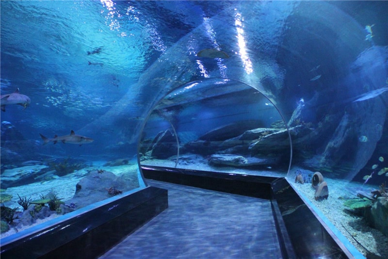 青岛人气景点盘点｜10个推荐景点及周边玩法攻略