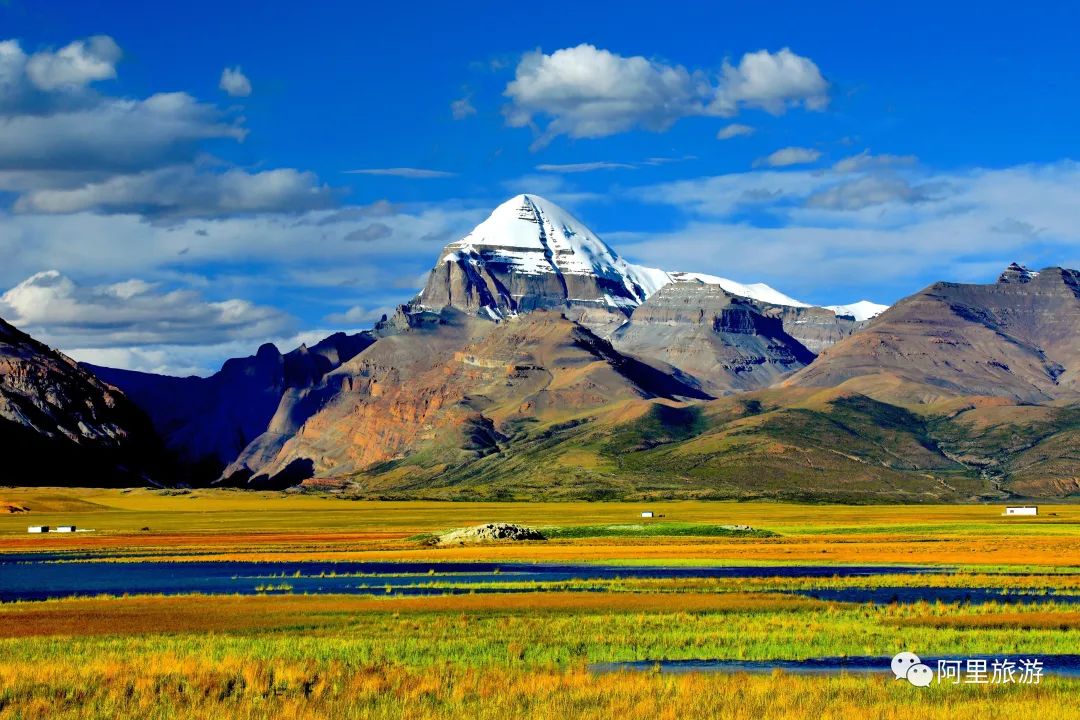 你永远可以相信迪丽热巴,你永远可以相信彝语的魅力