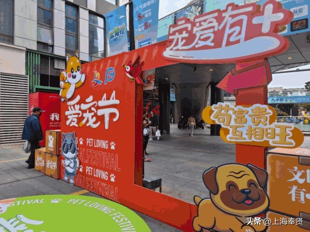快来看！奉浦的这个宠物市集不一般→