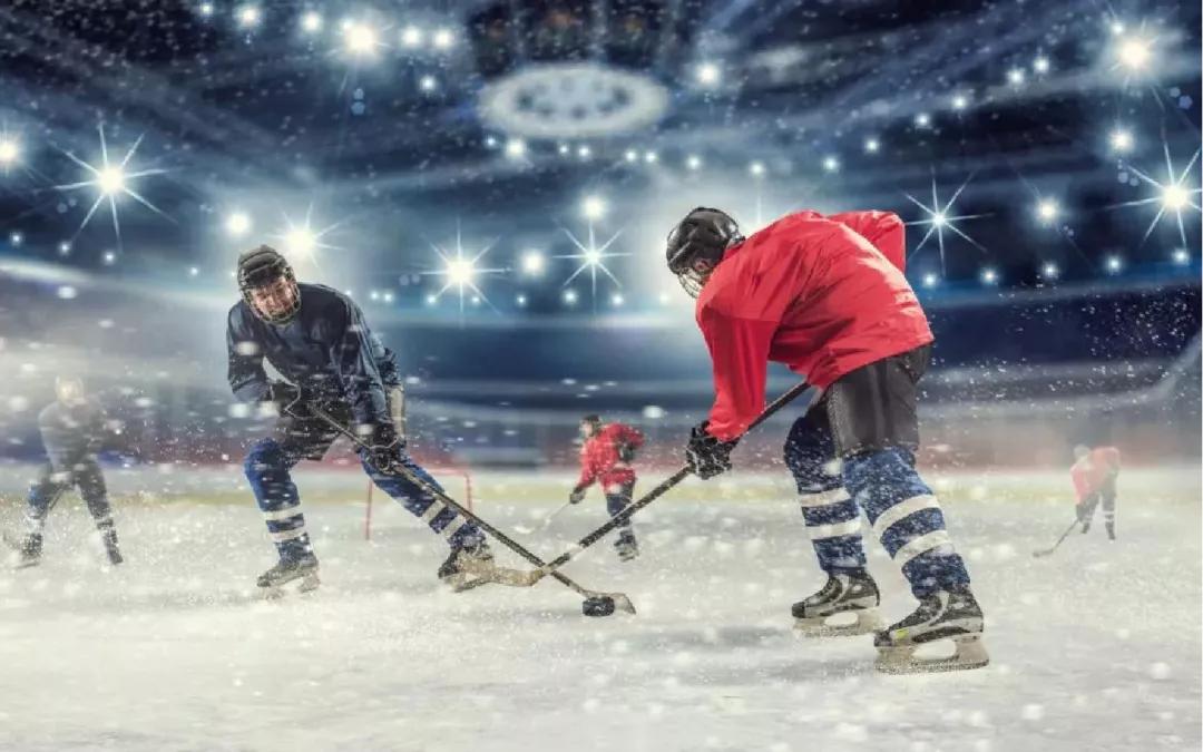 趣研学夏令营,趣研学内容