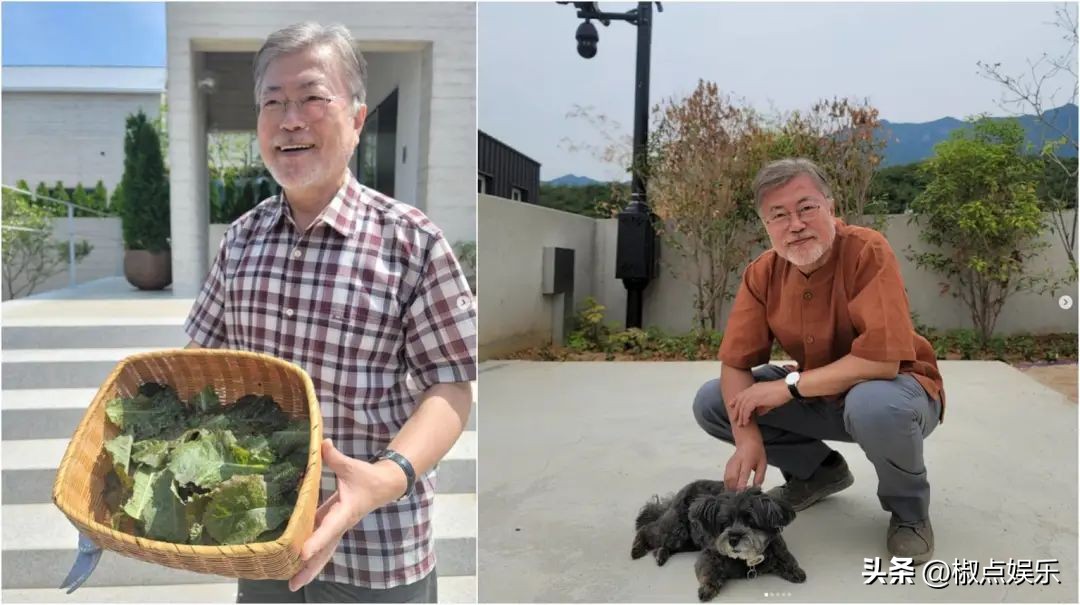 文在寅卸任后有哪些待遇,文在寅卸任后到底想做什么