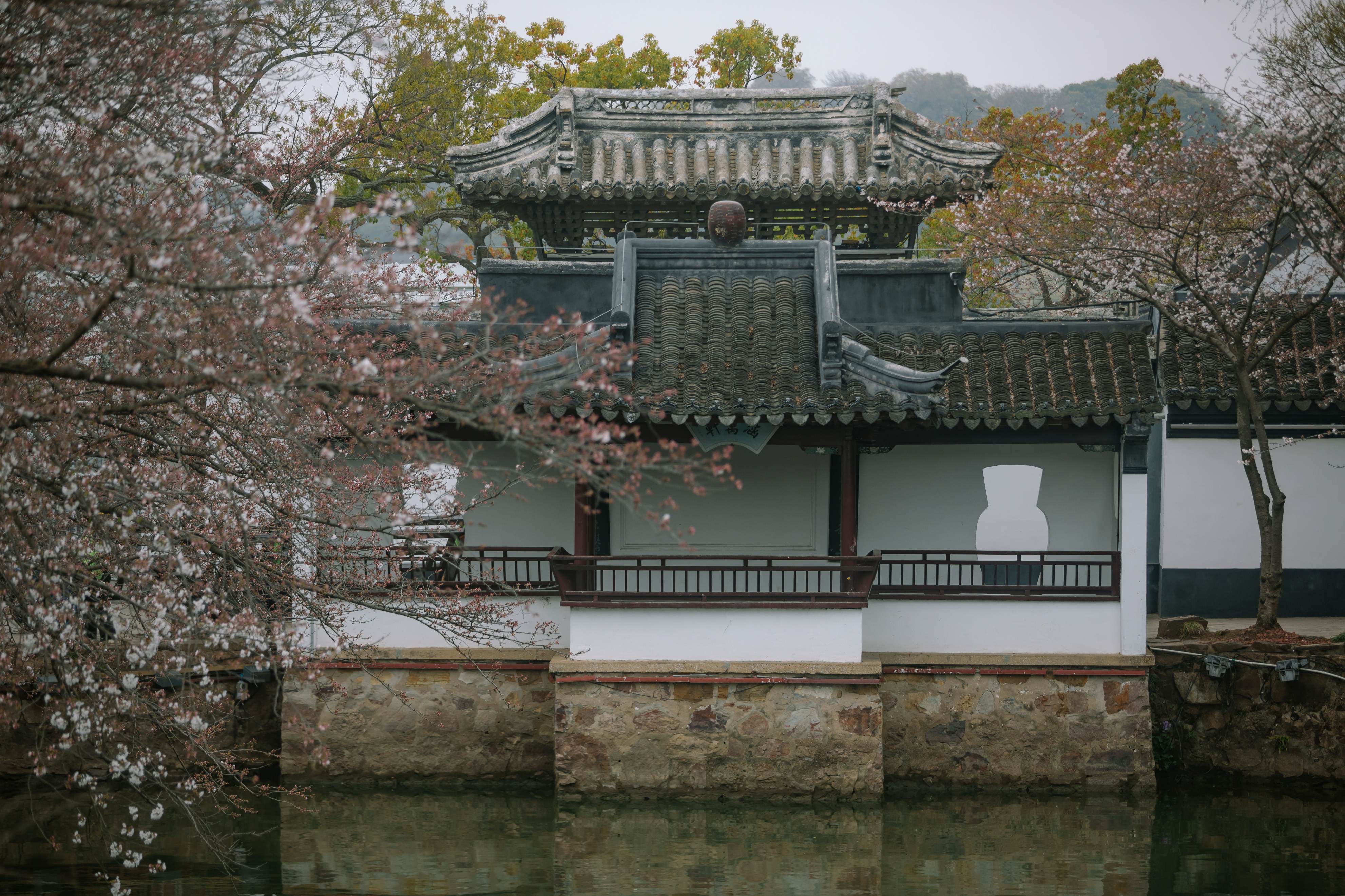 鼋头渚樱花盛宴比日本更令人沉醉,太湖鼋头渚樱花美如画